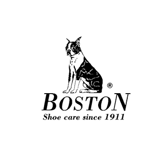 Boston Logo